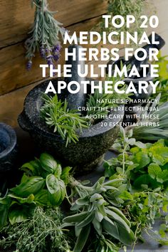 top 20 medicinal herbs for the ultimate apothecary Herbs For Survival, Growing Medicinal Herbs, Home Herbal Apothecary, Herbal Decor, Herbs For Medicinal Purposes, Lymph Detoxification, Medicine Herb Garden, Medicinal Herbs Aesthetic