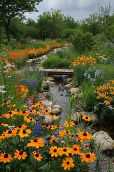 a stream running through a lush green forest filled with wildflowers and other flowers