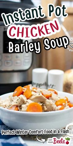 instant pot chicken barley soup in a bowl