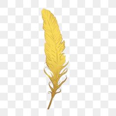 a yellow feather on a white background png and psd with no background, transparent