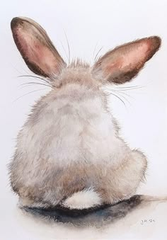 a watercolor painting of a rabbit's head resting on the ground, looking to its left