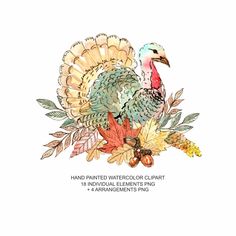 a watercolor drawing of a turkey surrounded by leaves and acorns