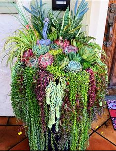 a planter filled with lots of different types of plants