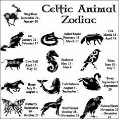 an animal zodiac chart with all the animals in it's respective positions and numbers