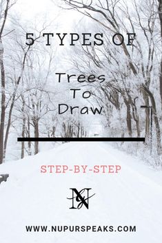 a snowy road with trees and the words five types of trees to draw on it