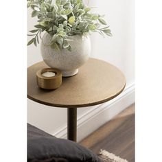 a table with a potted plant sitting on top of it next to a pillow