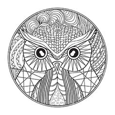 an owl's face in the center of a circular pattern