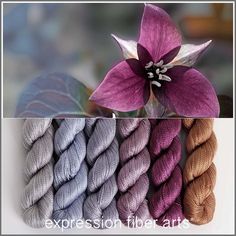 three different colors of yarn next to each other with a flower on the top and bottom