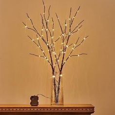 a vase filled with branches and lights on top of a mantle