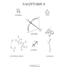 the sagittatis and their corresponding parts are shown in black ink on white paper