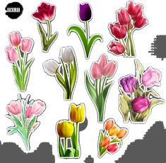 various flowers are shown in the shape of stickers