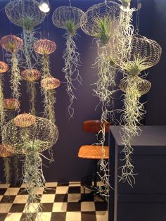 some plants hanging from the ceiling in a room with black and white checkered flooring