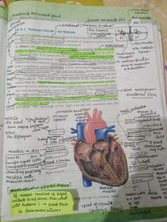 an open book with diagrams on the inside of it, including a heart and blood vessels