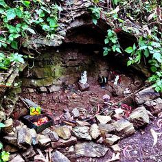 there is a small cave in the ground with rocks and plants growing around it,