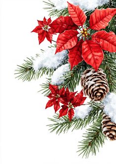 a christmas tree branch with poinsettia, pine cones and snow on it