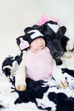 a baby wearing a cow hat laying on top of a black and white cow blanket