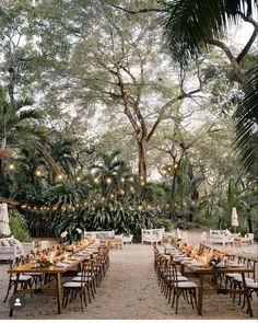 an outdoor dining area with wooden tables and white chairs, surrounded by greenery at night