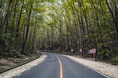 an empty road in the middle of a forest with trees lining both sides and signs on either side