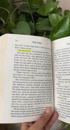 a person holding an open book in their hand next to a potted plant with green leaves