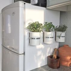 a white refrigerator freezer sitting inside of a kitchen next to a counter top with potted plants on it