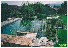 an outdoor swimming pool surrounded by greenery and wooden decking, with water feature in the middle