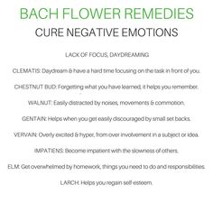 the benefits of flower remedies