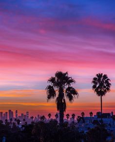 the sun is setting behind palm trees in front of a cityscape with skyscrapers