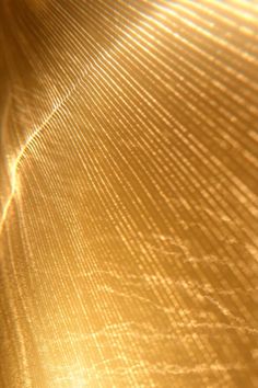 a close up view of an abstract gold background