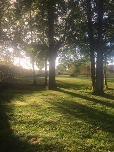 the sun is shining through the trees in the park