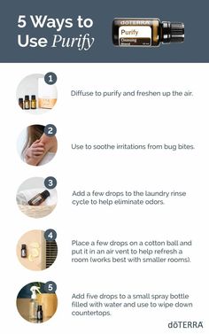 Doterra Purify, Essential Oil Usage, Pine Essential Oil, Essential Oil Companies, Doterra Essential Oils Recipes, Essential Oils Guide, Essential Oils Health, Essential Oil Diffuser Recipes