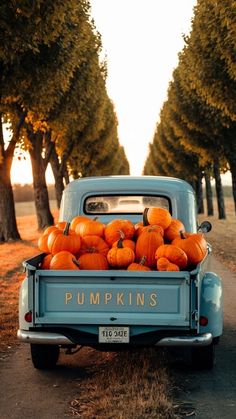 an old blue truck filled with pumpkins on the back of it's bed