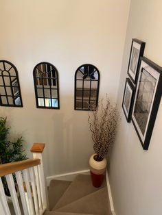 the stairs are lined with framed windows and potted plants on either side of them