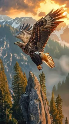 an eagle flying over a mountain with trees and mountains in the background