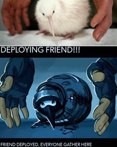 a person holding a small white rat in their hands and the caption reads deploying friend friend deployed everyone gather here