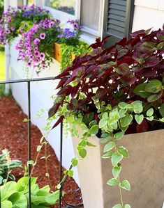 a planter filled with lots of green and purple plants next to a window sill