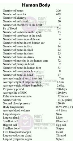 the number of bones in human body is shown on this page, and it appears to be