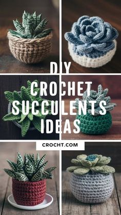 crochet succulents and potted plants with text overlay reading diy crochet succulents ideas