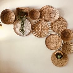 wicker baskets are arranged on the wall with plants in vases next to them