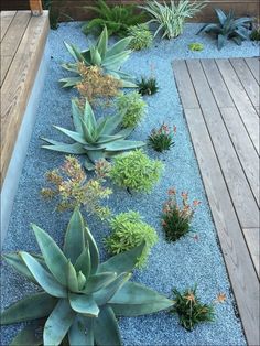 an outdoor garden with succulents and gravel in the center, along side a wooden deck