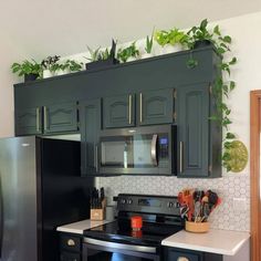 a kitchen with black appliances and green plants on the wall over the stove top oven