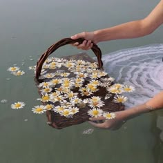 a basket filled with daisies floating on top of a lake next to a woman's hand