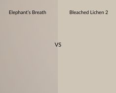 an elephant's breath and bleached lichen are shown in two different colors