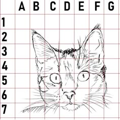 a drawing of a cat's face on a grid