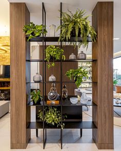 an open shelving unit with plants on it