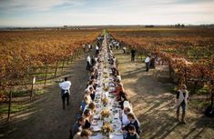 a group of people sitting at a long table in the middle of a field with thank you written on it