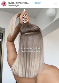 Shades Eq Toner Formulas Blonde, Shades Eq Blonde Toner Formulas, Redken Shades Eq Formulas Blondes, Ash Blonde Hair Color Ideas, Toner Formulas, Ash Blonde Hair Color