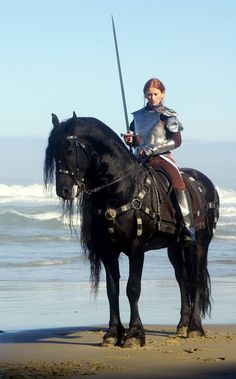 a man in armor riding on the back of a black horse next to the ocean