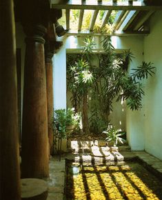 the sun shines through an open air room with columns and potted plants on either side