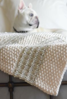 a dog sitting on top of a couch next to a white blanket and pillow cover