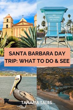 the santa barbara day trip what to do and see in san diego, califi